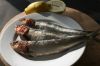 Sardines Can Be A Sustainable Seafood Option