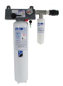 Dual Port Manifold Water Filter System