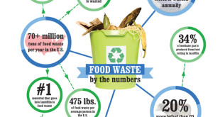 Food Waste by the Numbers Tundra Infographic