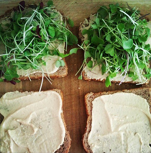Hummus Microgreen Toast