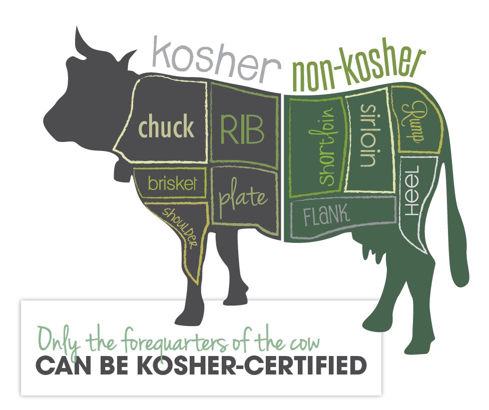 Forequarters of Cow are Kosher