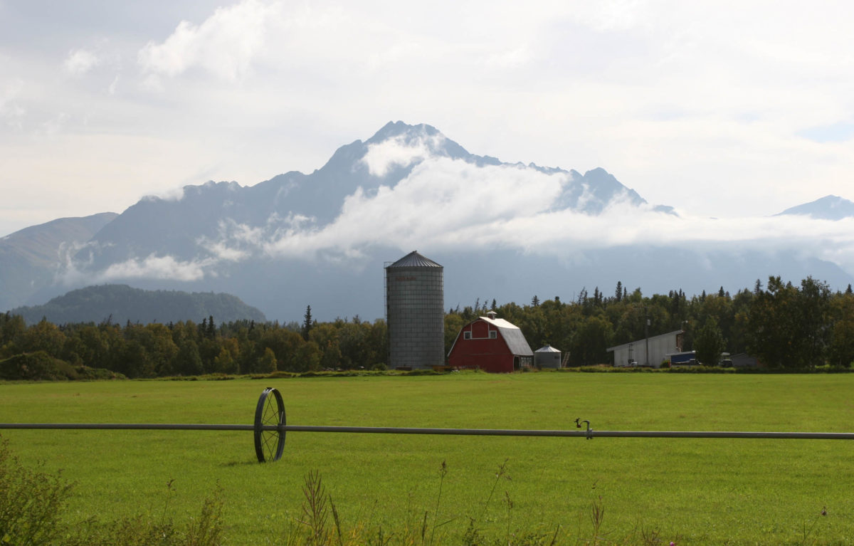 Agricultural farm in Alaska in the Matanuska Valley near the town of Palmer. By National Institute for Occupational Safety and Health (NIOSH) from USA (Farm, Matanuska Valley, AK) [Public domain], via Wikimedia Commons